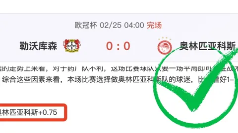 德甲激战风云：惊险逆转边缘一触即发